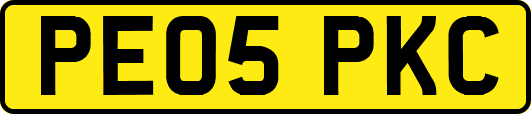 PE05PKC