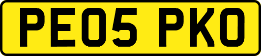 PE05PKO