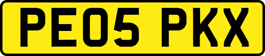 PE05PKX