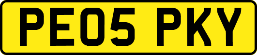 PE05PKY