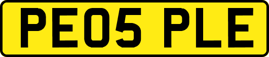 PE05PLE