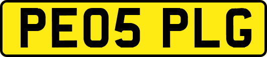 PE05PLG