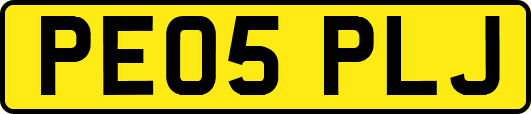 PE05PLJ
