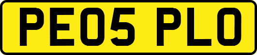 PE05PLO