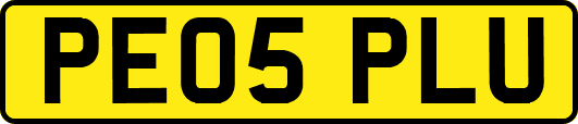 PE05PLU