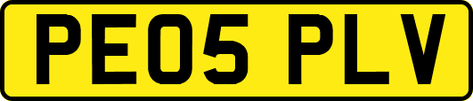 PE05PLV