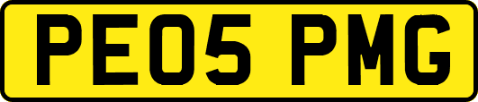 PE05PMG