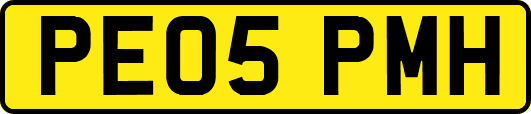 PE05PMH