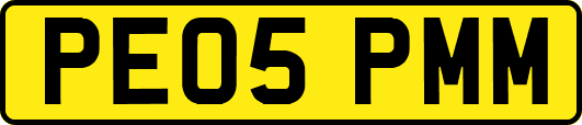 PE05PMM