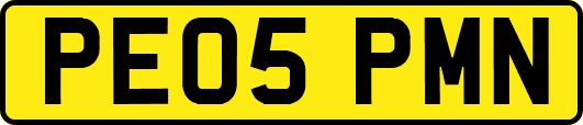PE05PMN