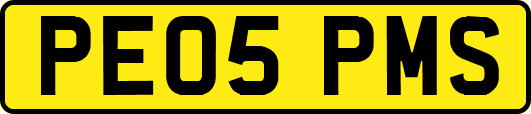 PE05PMS