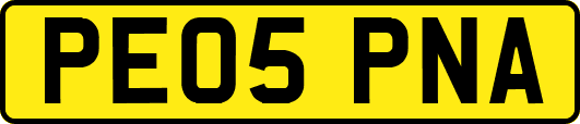 PE05PNA