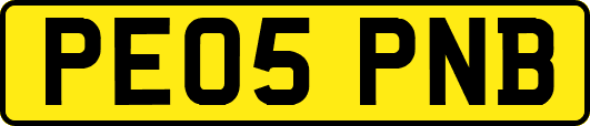 PE05PNB