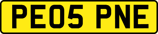 PE05PNE