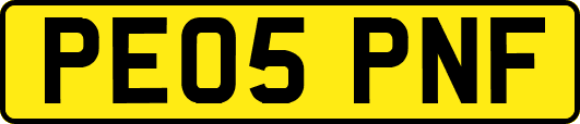PE05PNF