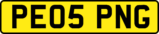 PE05PNG