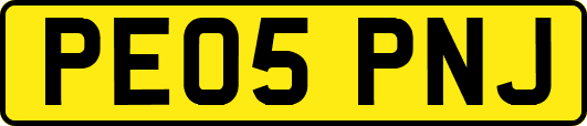 PE05PNJ