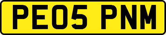 PE05PNM