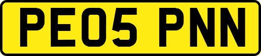 PE05PNN