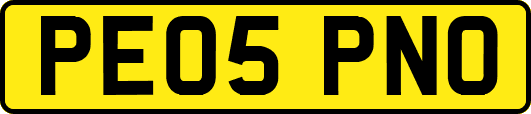 PE05PNO