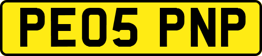 PE05PNP