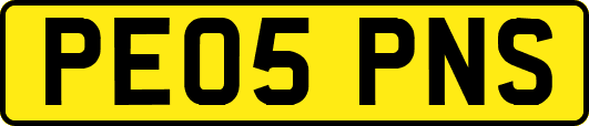 PE05PNS