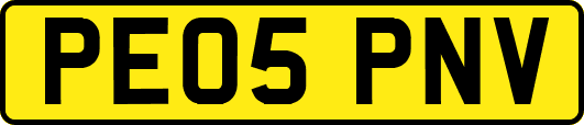 PE05PNV