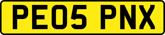 PE05PNX