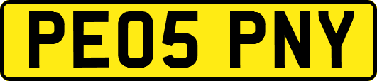 PE05PNY