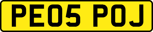 PE05POJ