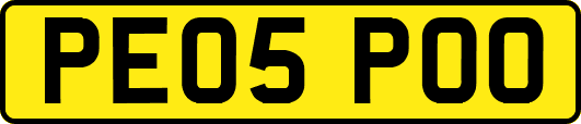 PE05POO