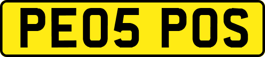 PE05POS