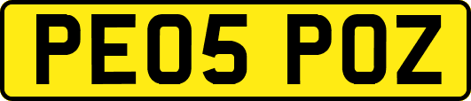 PE05POZ