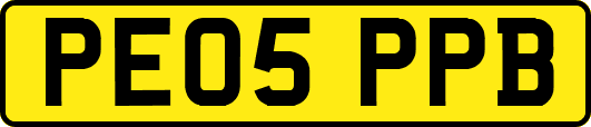 PE05PPB