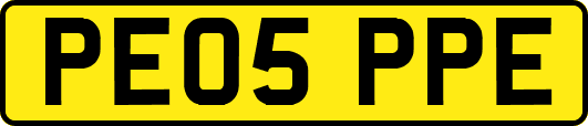 PE05PPE