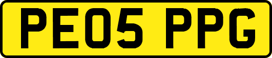 PE05PPG