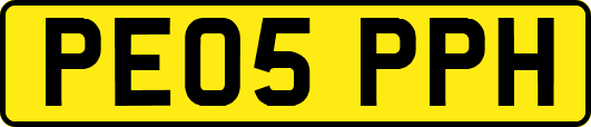 PE05PPH