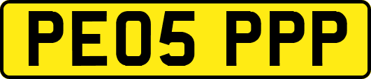PE05PPP