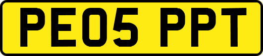 PE05PPT