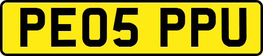 PE05PPU