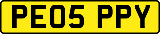 PE05PPY
