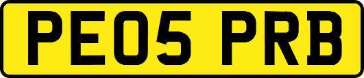 PE05PRB