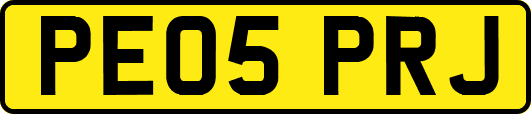 PE05PRJ