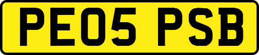 PE05PSB