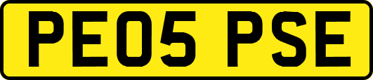 PE05PSE