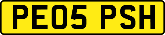 PE05PSH
