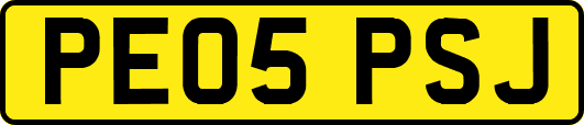 PE05PSJ