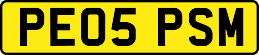 PE05PSM