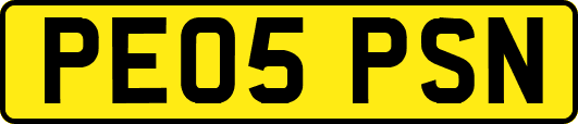 PE05PSN