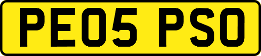 PE05PSO